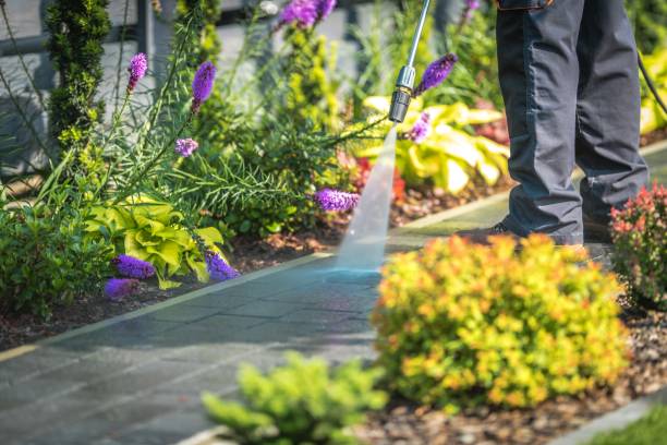 Best Patio and Deck Pressure Washing  in Tonka Bay, MN