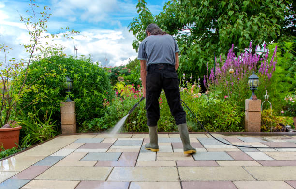 Best Fence Cleaning  in Tonka Bay, MN